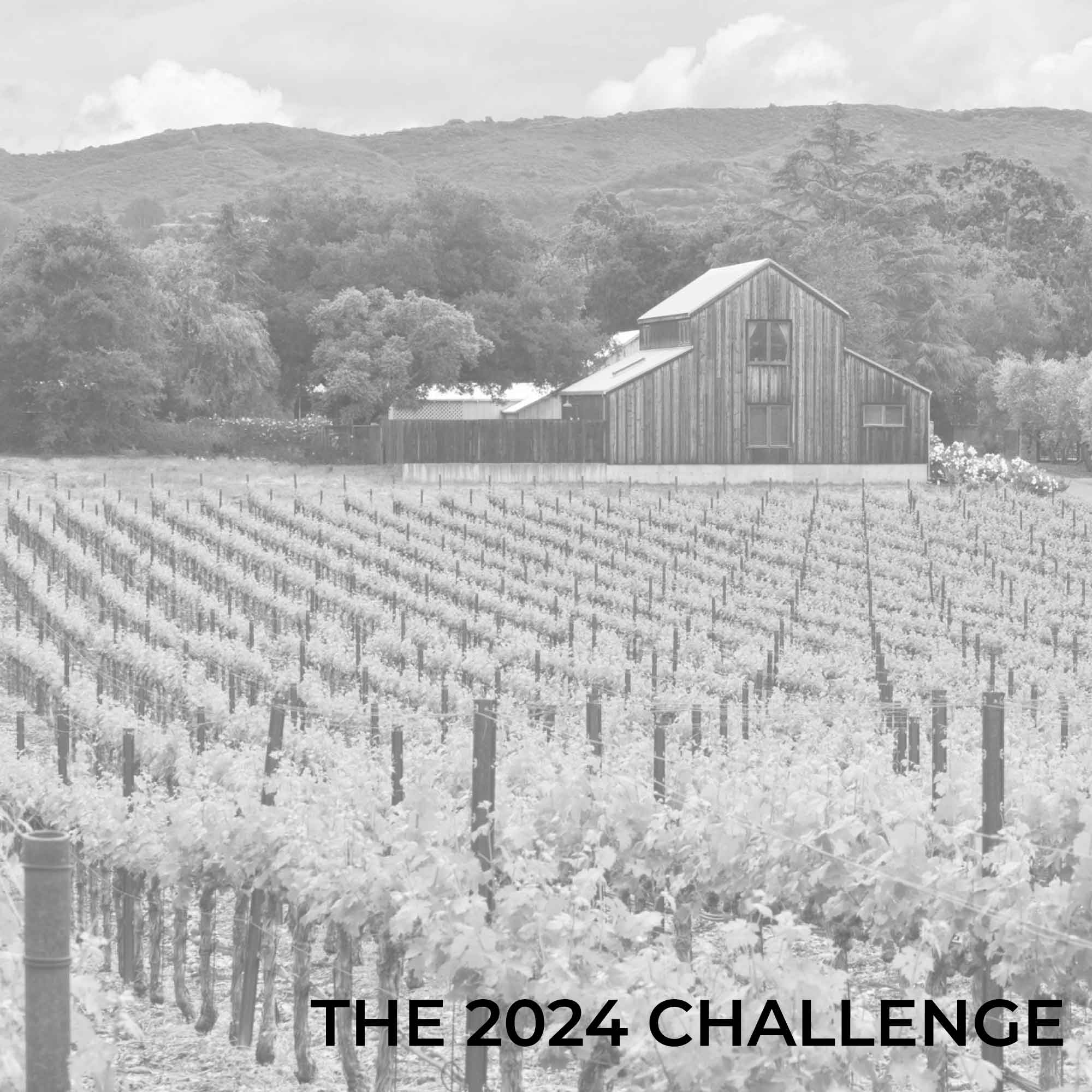 The Global Fine Wine Challenge